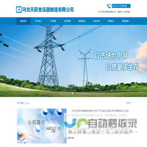 河北天跃变压器制造有限公司