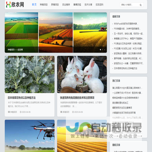 欣农网|专门提供种植项目、养殖项目、农业信息分享的平台！